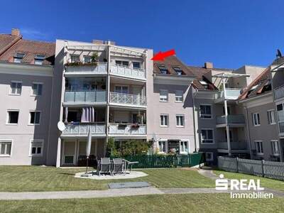 Terrassenwohnung kaufen in 4150 Rohrbach (Bild 1)