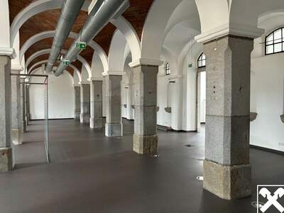 Gewerbeobjekt mieten in 4470 Enns (Bild 2)