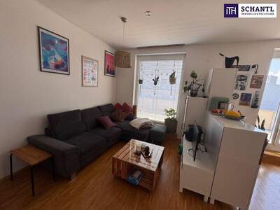 Terrassenwohnung mieten in 8020 Graz (Bild 2)