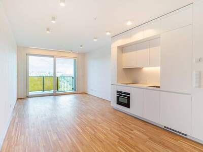 Wohnung mieten in 1100 Wien