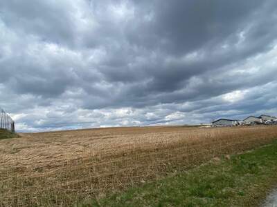 Gewerbeobjekt kaufen in 3613 Els (Bild 3)