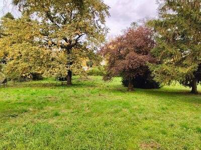 Grundstück kaufen in 2103 Langenzersdorf (Bild 1)