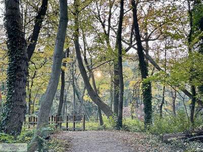 Grundstück kaufen in 2486 Pottendorf (Bild 4)