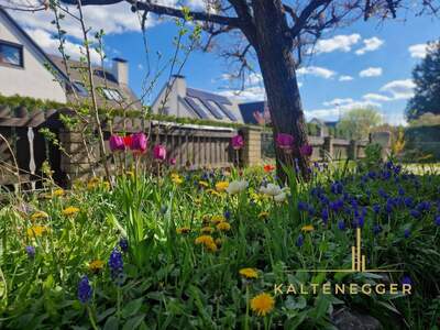 Haus kaufen in 1220 Wien