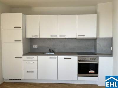 Terrassenwohnung mieten in 1100 Wien (Bild 5)