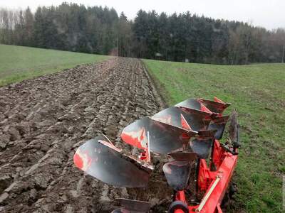 Gewerbeobjekt kaufen in 3580 Bezirk Horn