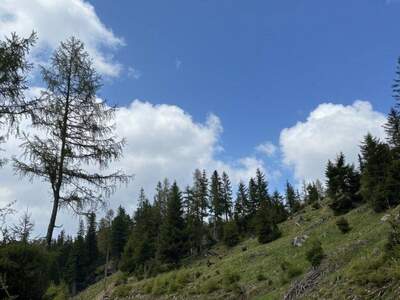 Gewerbeobjekt kaufen in 8842 Kammersberg