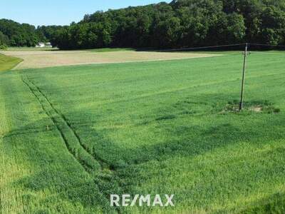 Grundstück kaufen in 5133 Gilgenberg