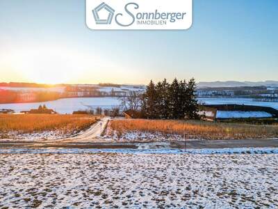 Grundstück kaufen in 4501 Neuhofen (Bild 1)