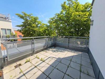 Terrassenwohnung mieten in 1180 Wien (Bild 3)
