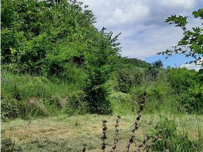 Grundstück kaufen in 3500 Krems (Bild 2)