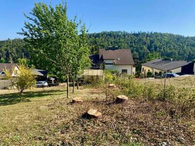 Grundstück kaufen in 2822 Walpersbach