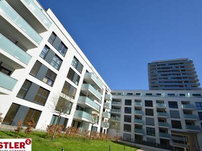 Mietwohnung in 4020 Linz (Bild 4)