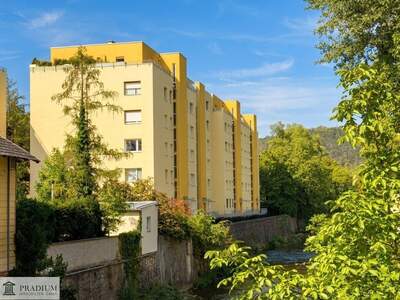 Wohnung kaufen in 2500 Baden