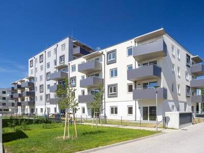 Wohnung mieten in 2700 Wiener Neustadt