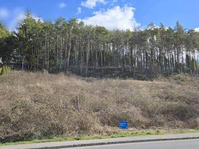 Anlageobjekt kaufen in 2821 Schleinz