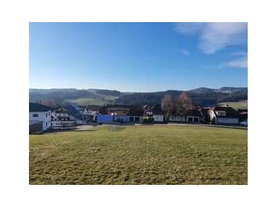 Grundstück provisionsfrei kaufen in 4152 Sarleinsbach