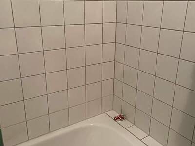 Mietwohnung provisionsfrei in 1100 Wien