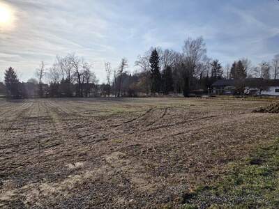 Grundstück kaufen in 8483 Deutsch Goritz