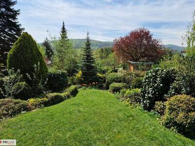 Haus kaufen in 1140 Wien (Bild 2)