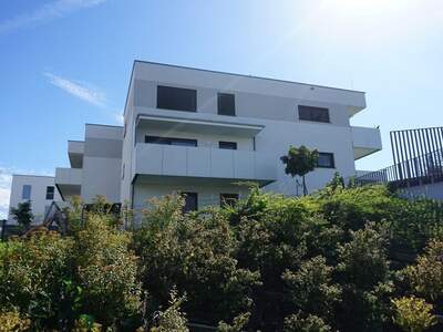 Wohnung mit Balkon kaufen in 4910 Ried (Bild 1)