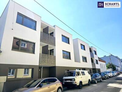 Terrassenwohnung kaufen in 1230 Wien (Bild 2)