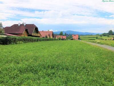 Grundstück kaufen in 8524 Bad Gams (Bild 4)