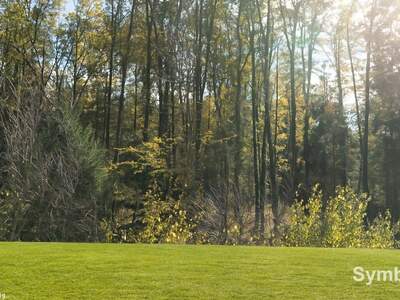 Grundstück kaufen in 8144 Haselsdorf