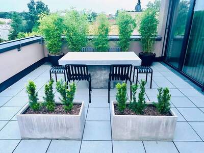 Wohnung kaufen in 4020 Linz