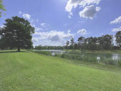 Haus mit Garten kaufen in 3430 Neuaigen (Bild 4)