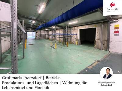 Gewerbeobjekt kaufen in 1230 Wien