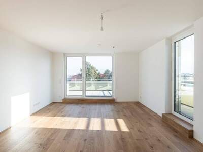 Anlageobjekt kaufen in 2540 Bad Vöslau