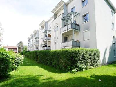 Wohnung mieten in 4600 Thalheim