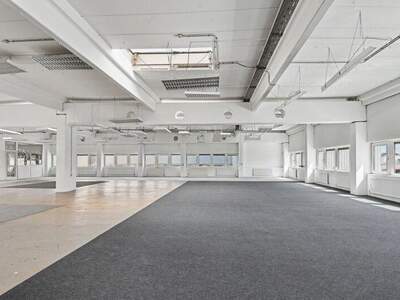 Büro / Praxis mieten in 1230 Wien (Bild 4)