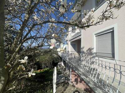 Haus kaufen in 8151 Hitzendorf (Bild 2)