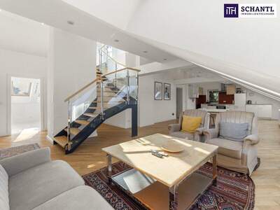 Chalet kaufen in 1180 Wien (Bild 1)