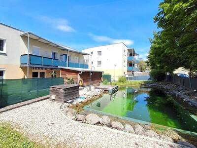 Wohnung mieten in 3484 Grafenwörth