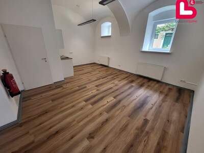 Gewerbeobjekt mieten in 4563 Micheldorf (Bild 4)