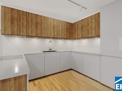 Terrassenwohnung mieten in 1200 Wien (Bild 5)