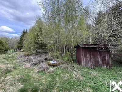 Grundstück kaufen in 4202 Davidschlag (Bild 4)