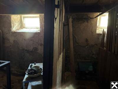 Gewerbeobjekt kaufen in 2380 Perchtoldsdorf (Bild 4)