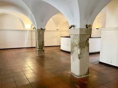 Gewerbeobjekt mieten in 8010 Graz (Bild 3)