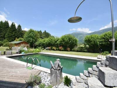 Haus kaufen in 9853 Gmünd