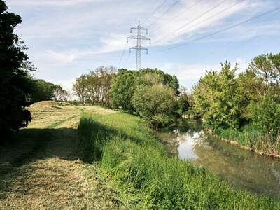 Eigentumswohnung in 2320 Kledering (Bild 5)