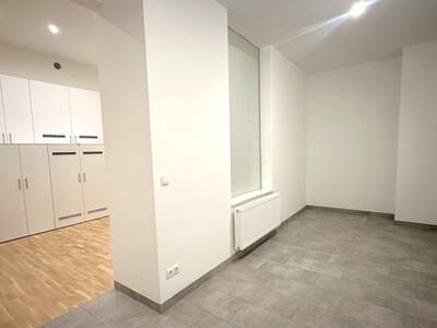 Gewerbeobjekt mieten in 1090 Wien (Bild 4)