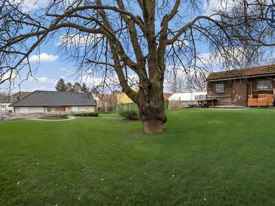 Grundstück kaufen in 2014 Dietersdorf (Bild 2)