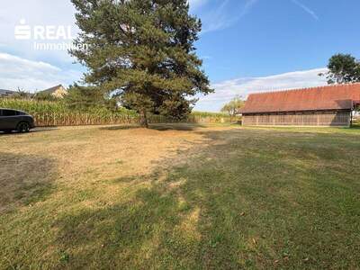 Haus kaufen in 8403 Lebring (Bild 5)