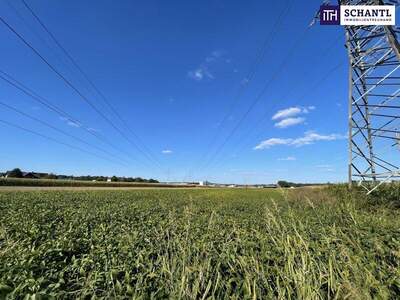 Grundstück kaufen in 8431 Gralla (Bild 3)