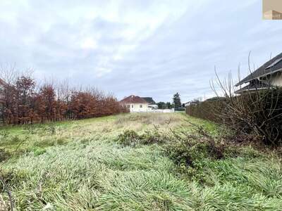 Grundstück kaufen in 2486 Pottendorf