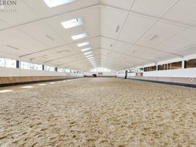 Gewerbeobjekt kaufen (Bild 5)